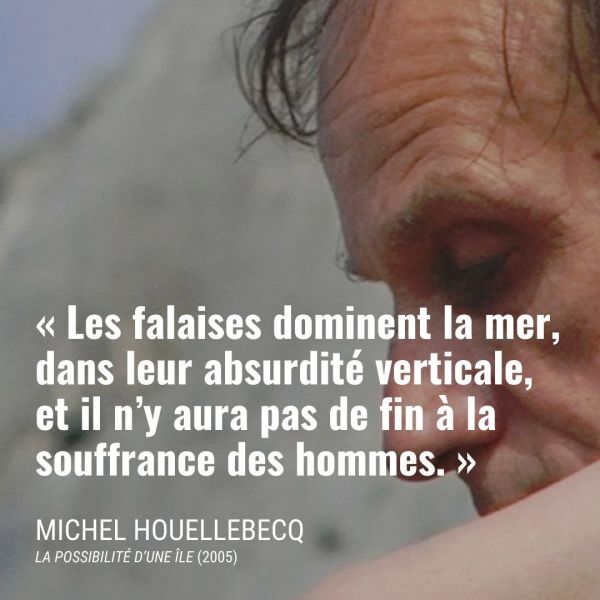 Michel Houellebecq 2.jpg